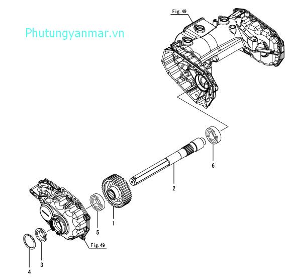 Trục xe sau